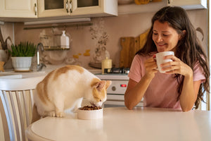 Healthy Feeding Solutions for Pets