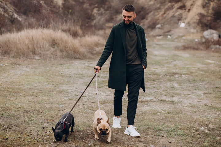 Safe Stylish Strong Pet Walking Leashes