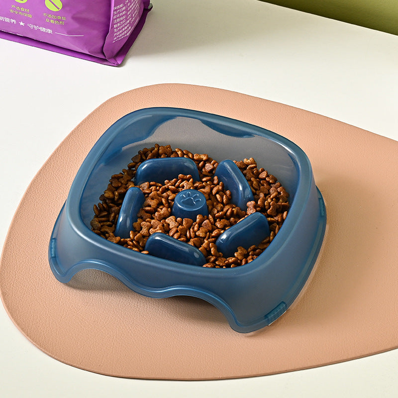 Pet Slow Feeding Anti Choking Water Bowl Plastic Feeder