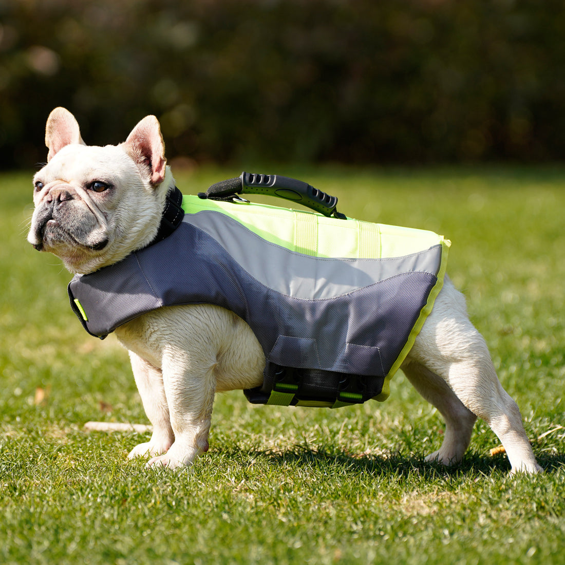 Pet Reflective Swimsuit Life Jacket Safety Buoyancy Outdoor Wear
