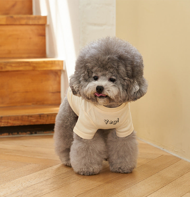 Pet Korean Style Cotton Short Sleeve Printed T Shirt