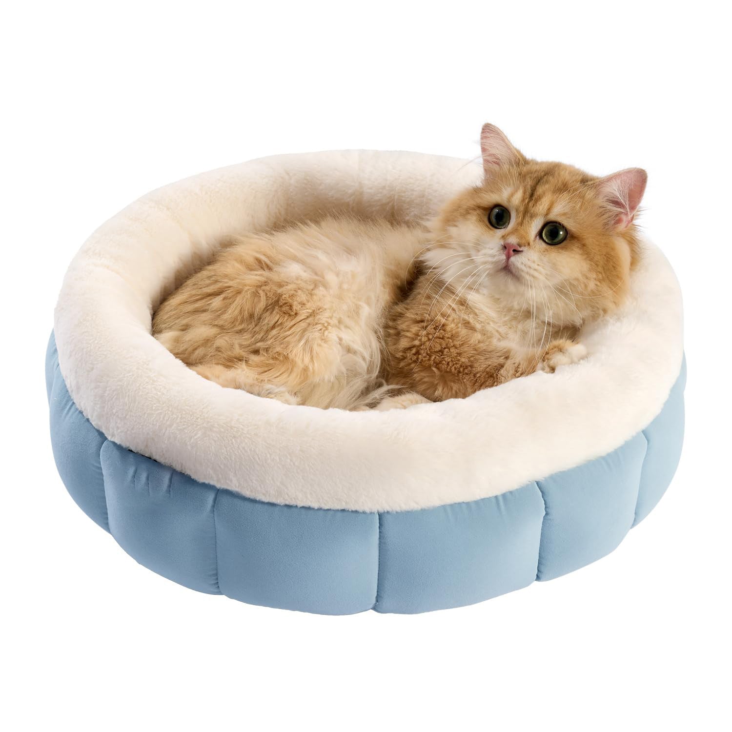 Donut Style Washable Round Pet Bed With Anti Slip Bottom
