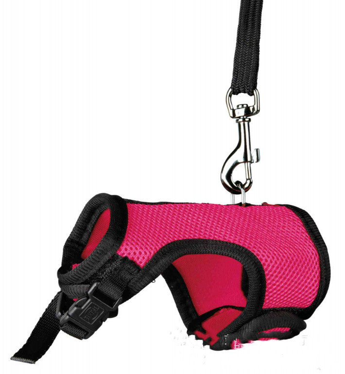 Pet Small Leash Adjustable Walking Control Strap
