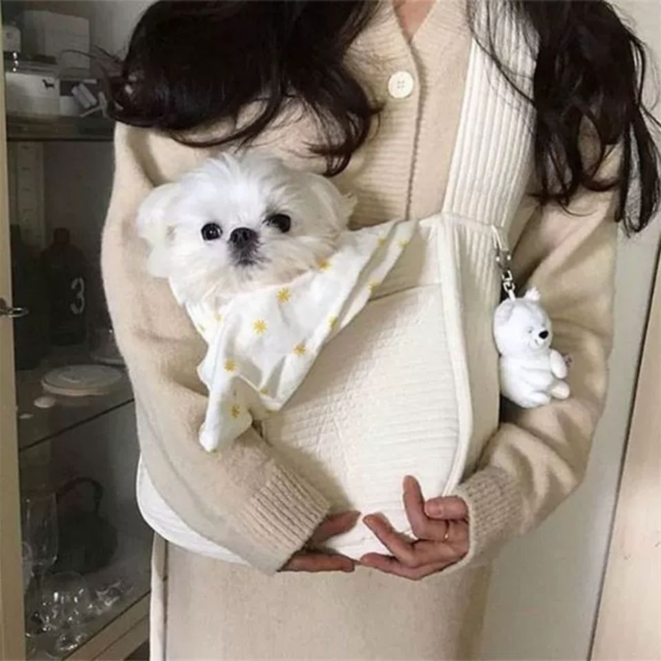 Luxury Pet Canvas Carrier Bag for Stylish Travel