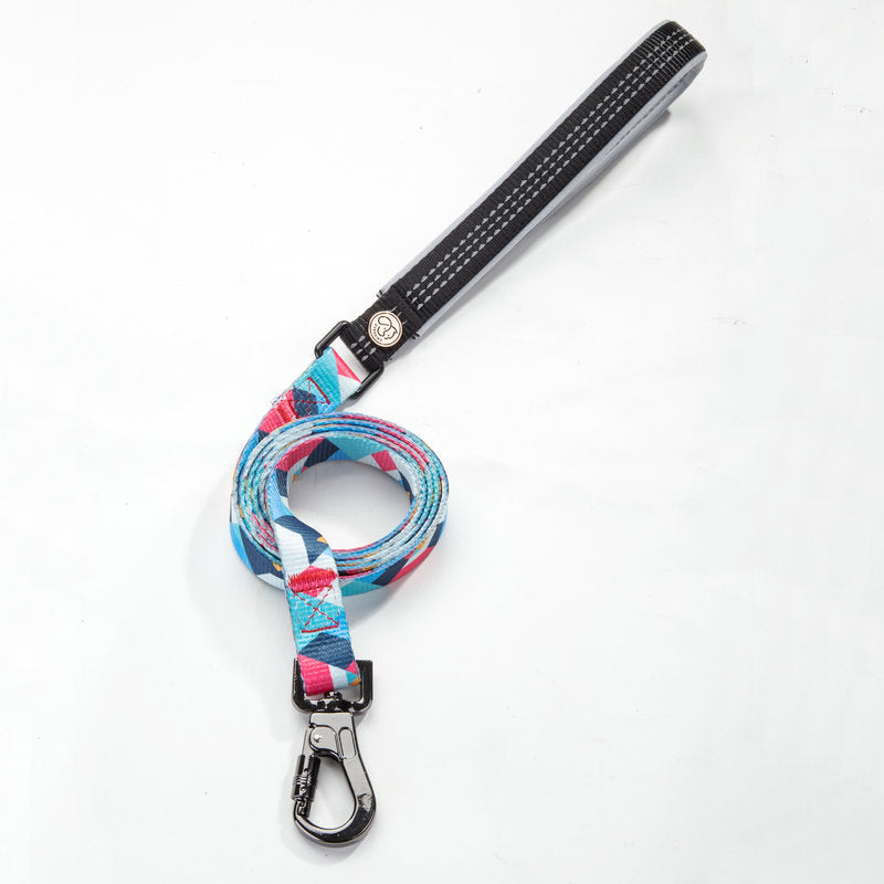 Pet Dog Leash Walking Control Strap