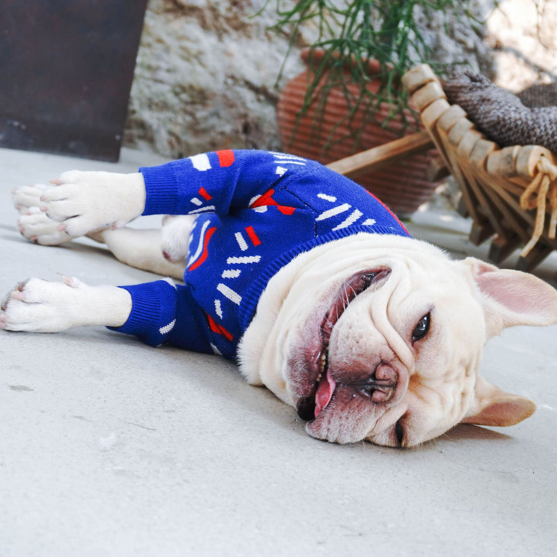 Warm Knitted Pet Sweater Clothing