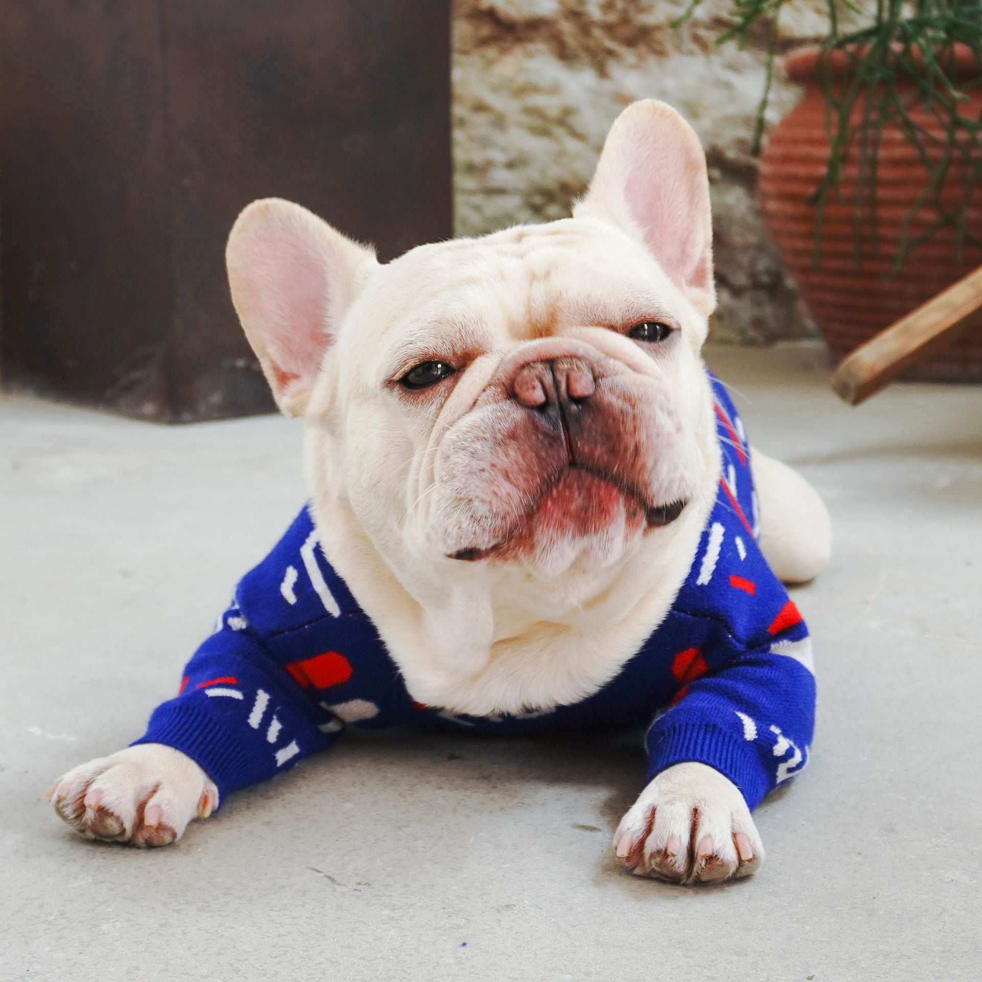 Warm Knitted Pet Sweater Clothing