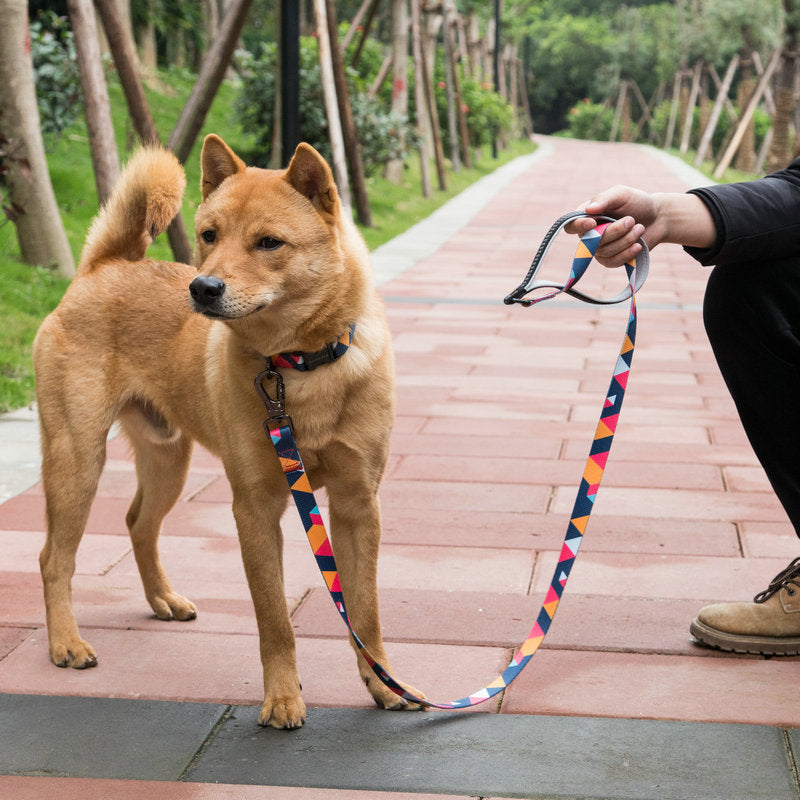 Pet Dog Leash Walking Control Strap