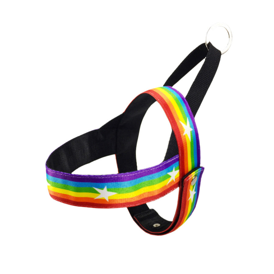Pet Rainbow Chain Leash Walking Control Strap