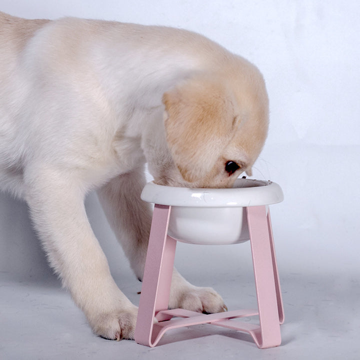 Pet Anti Slip Feeding Bowl With Iron Stand 2 In 1 Feeder
