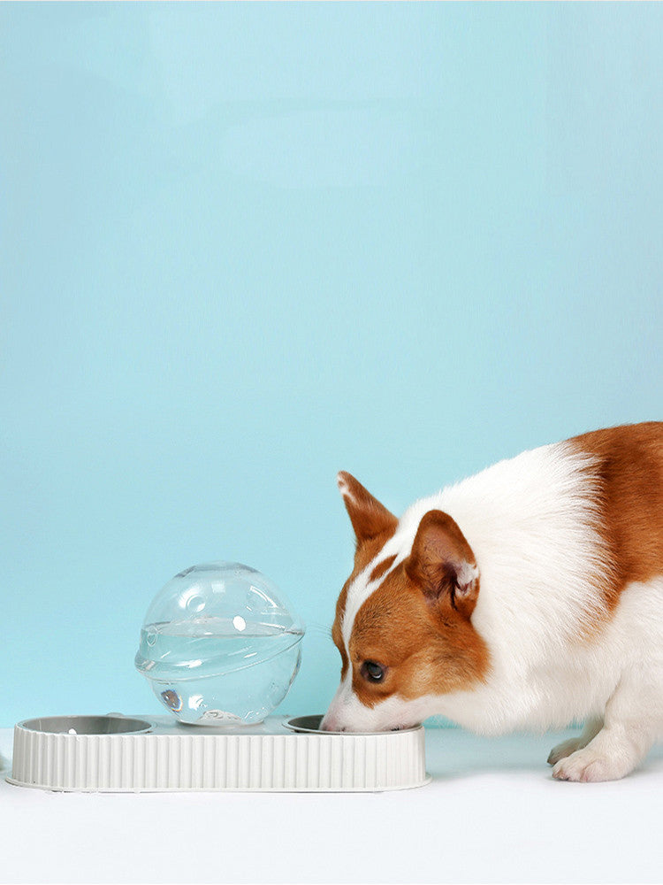 Pet Automatic Plastic Feeding Drinking Water Bowl