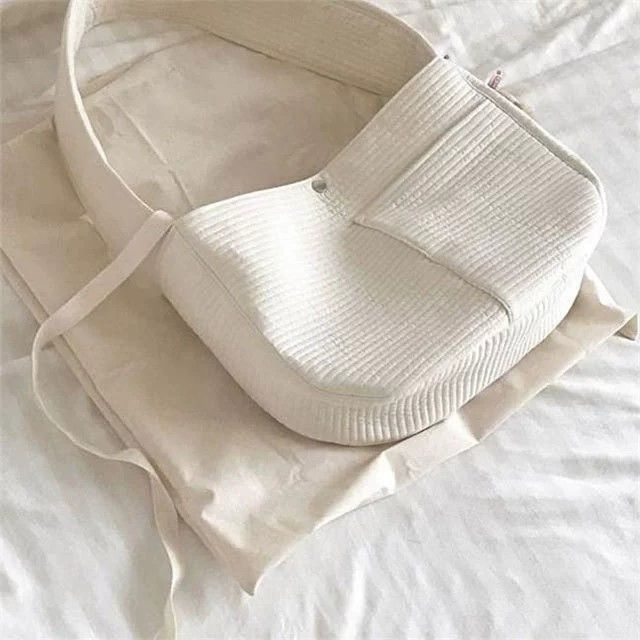 Luxury Pet Canvas Carrier Bag for Stylish Travel