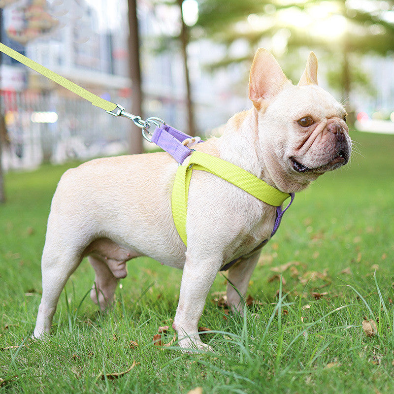 Pet Drawstring Vest Leash Walking Control Strap