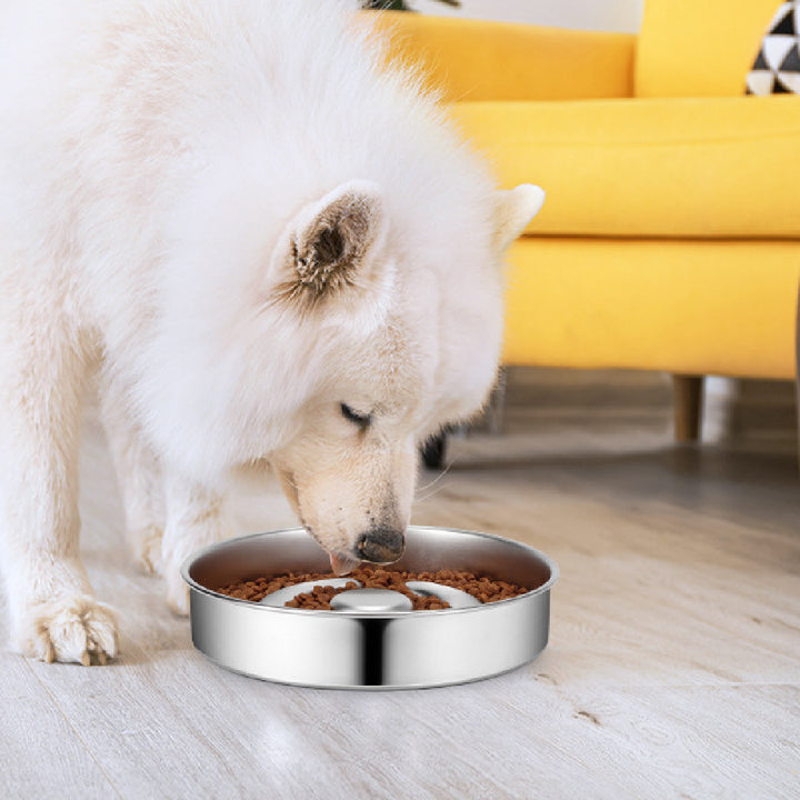 Pet Stainless Steel Slow Feeding Bowl Neck Protector
