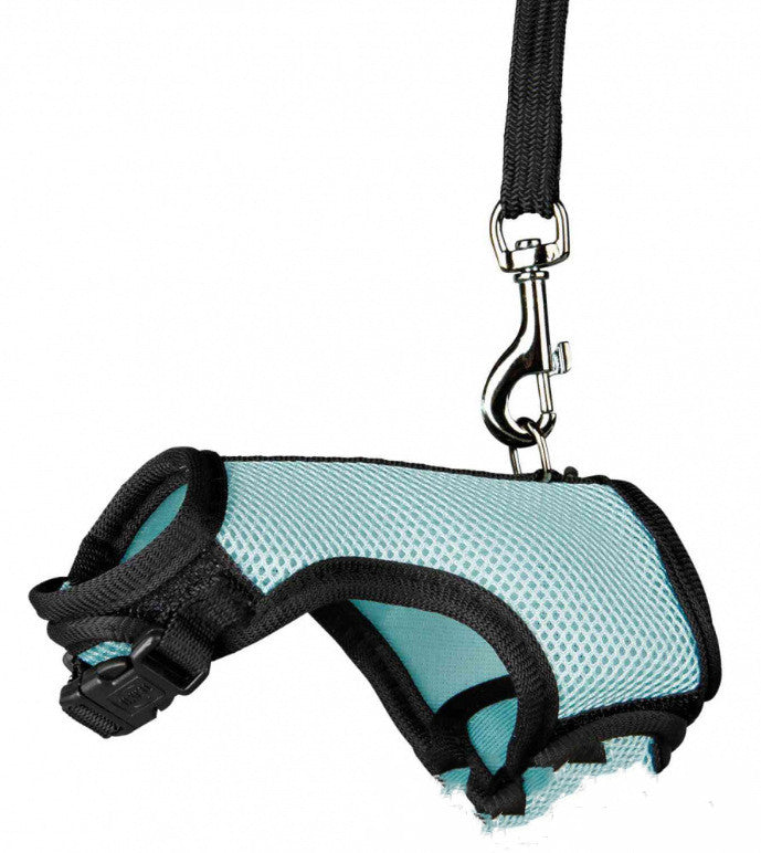 Pet Small Leash Adjustable Walking Control Strap