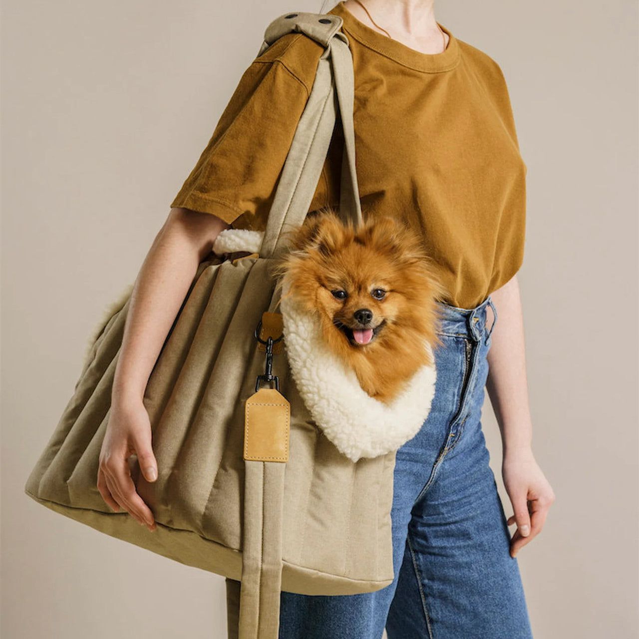 Lightweight Waterproof Portable Pet Carrier Fashion Handbag
