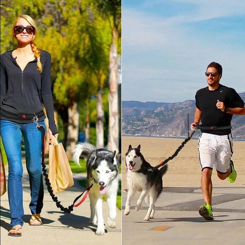 Pet Adjustable Harness Collar Jogging Leash Walking Strap