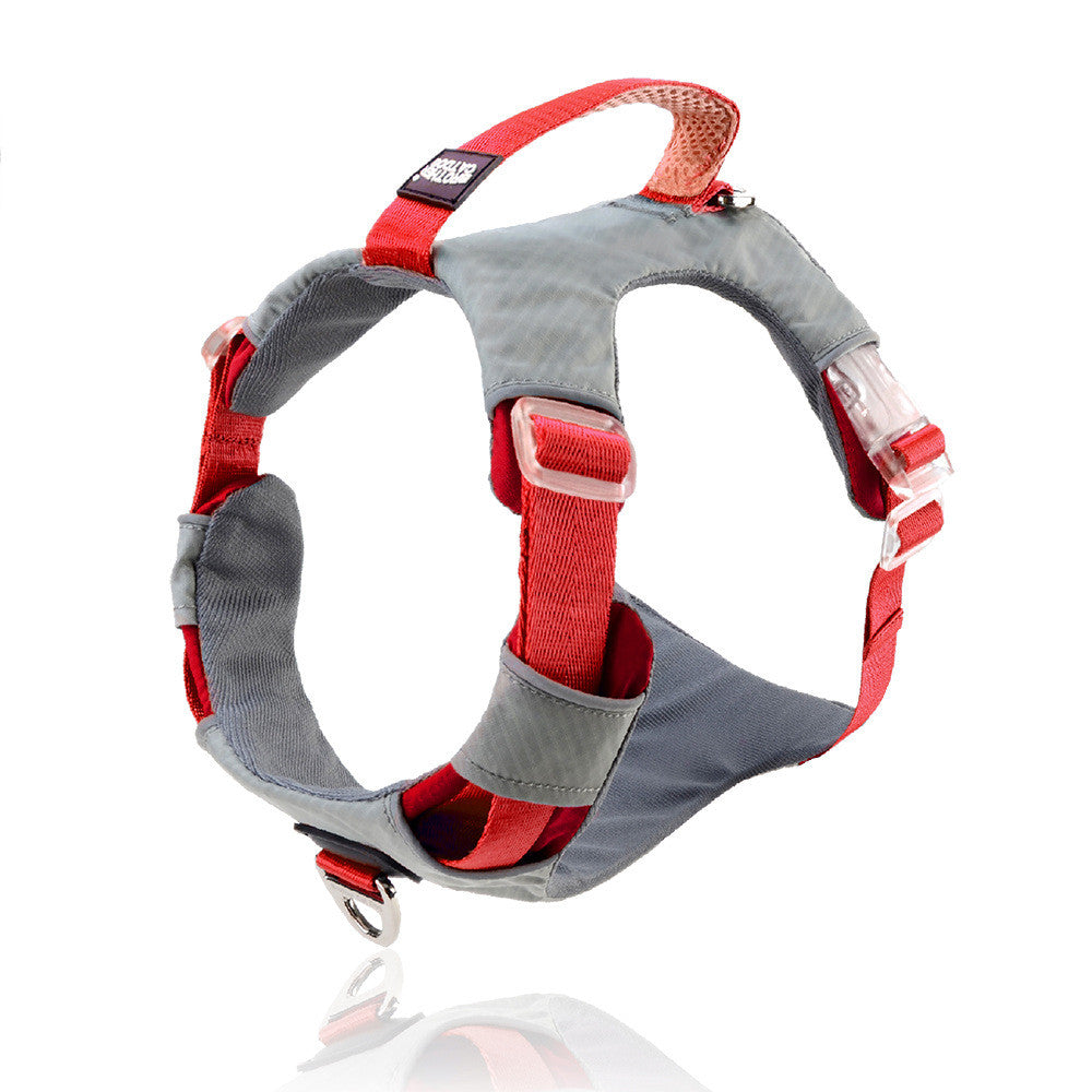 Pet Chest Harness Storage Bag Leash Walking Control Strap