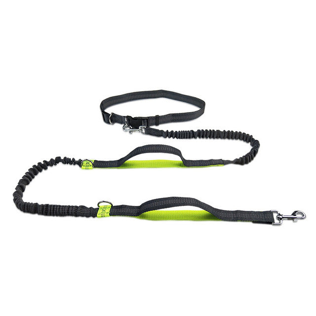 Pet Adjustable Harness Collar Jogging Leash Walking Strap