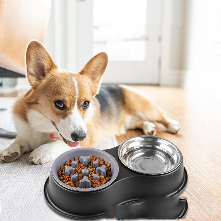 Pet Removable Slow Feeding Bowl