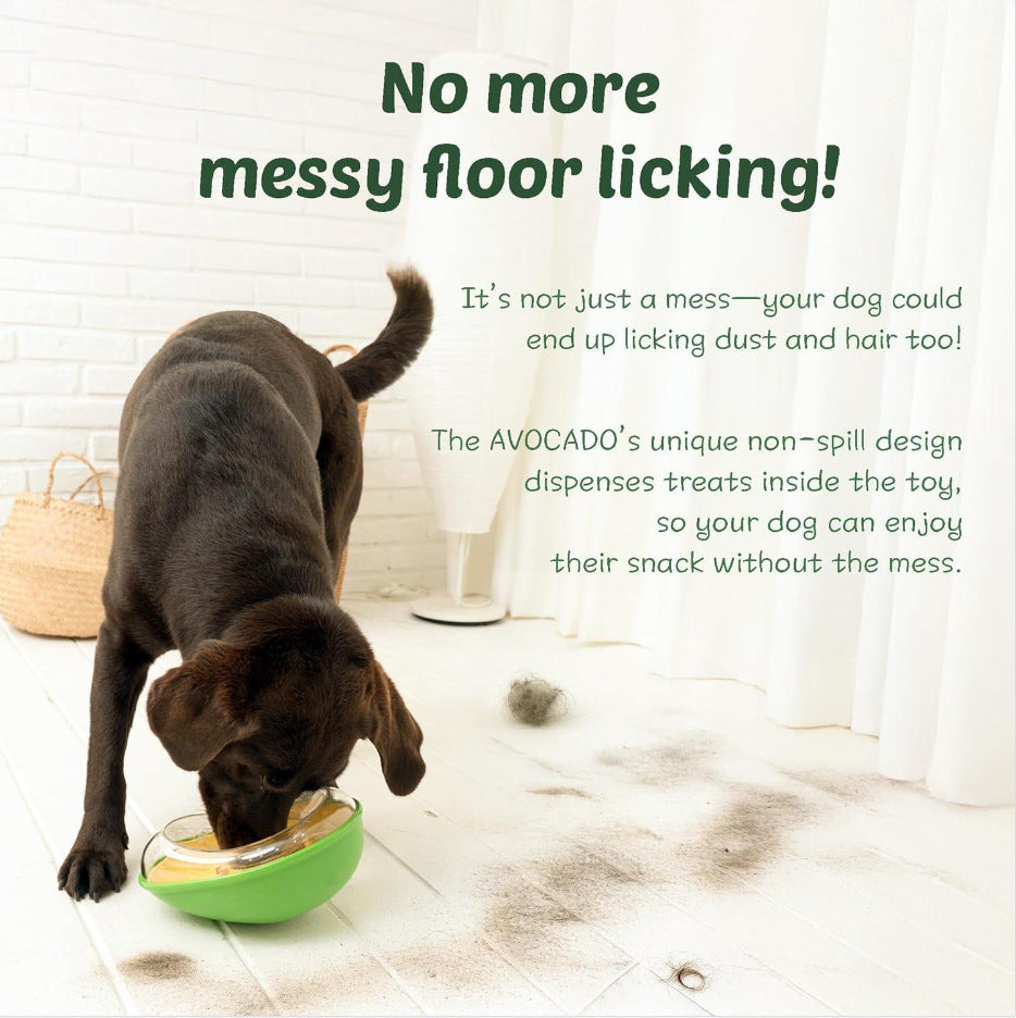 Pet Avocado Anti-Tumble Feeding Bowl