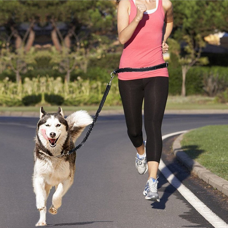 Pet Adjustable Harness Collar Jogging Leash Walking Strap