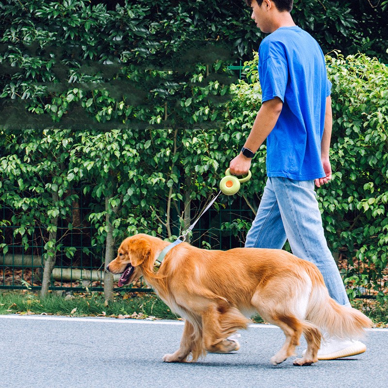 Pet Retractable Reflective Leash Walking Control Rope