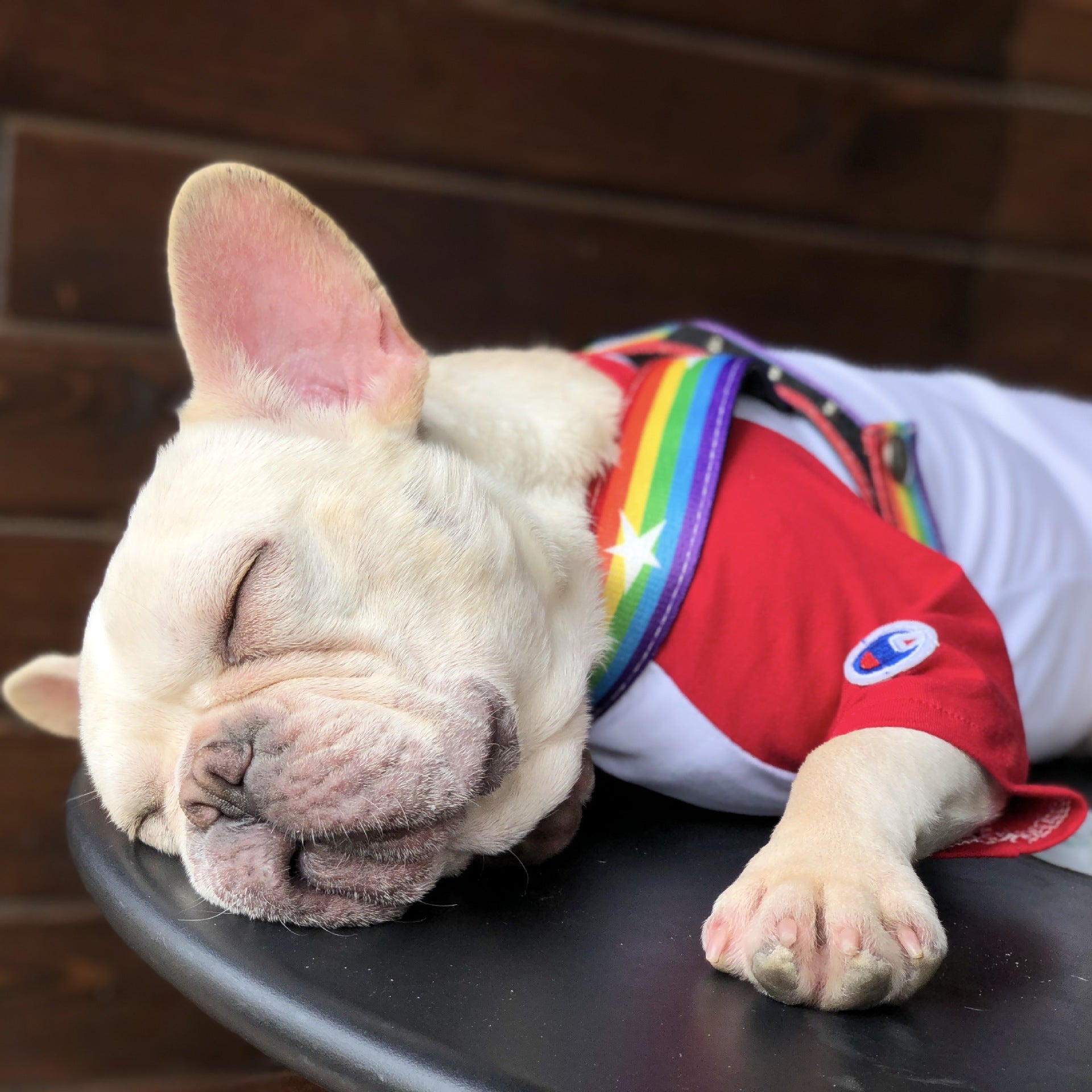 Pet Rainbow Chain Leash Walking Control Strap