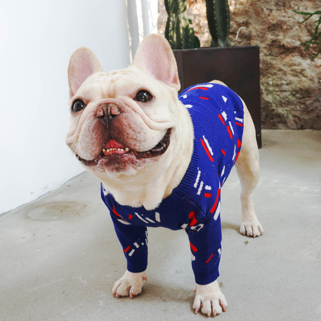 Warm Knitted Pet Sweater Clothing