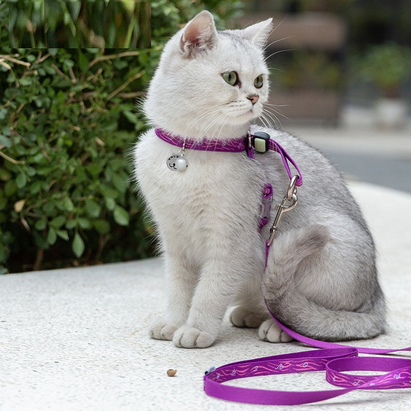 Pet Chest Harness Bell Vest Leash Walking Control Strap