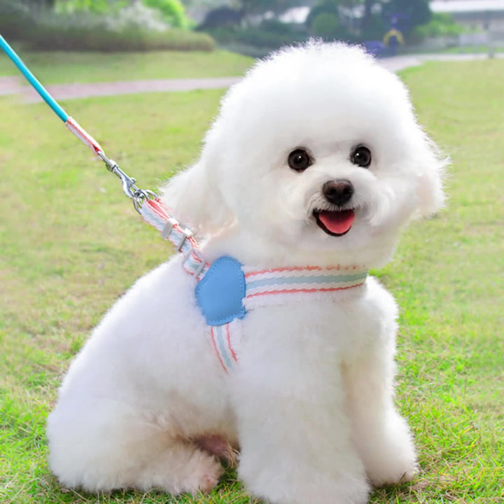 Pet Breathable Chest Vest Leash Walking Control Strap
