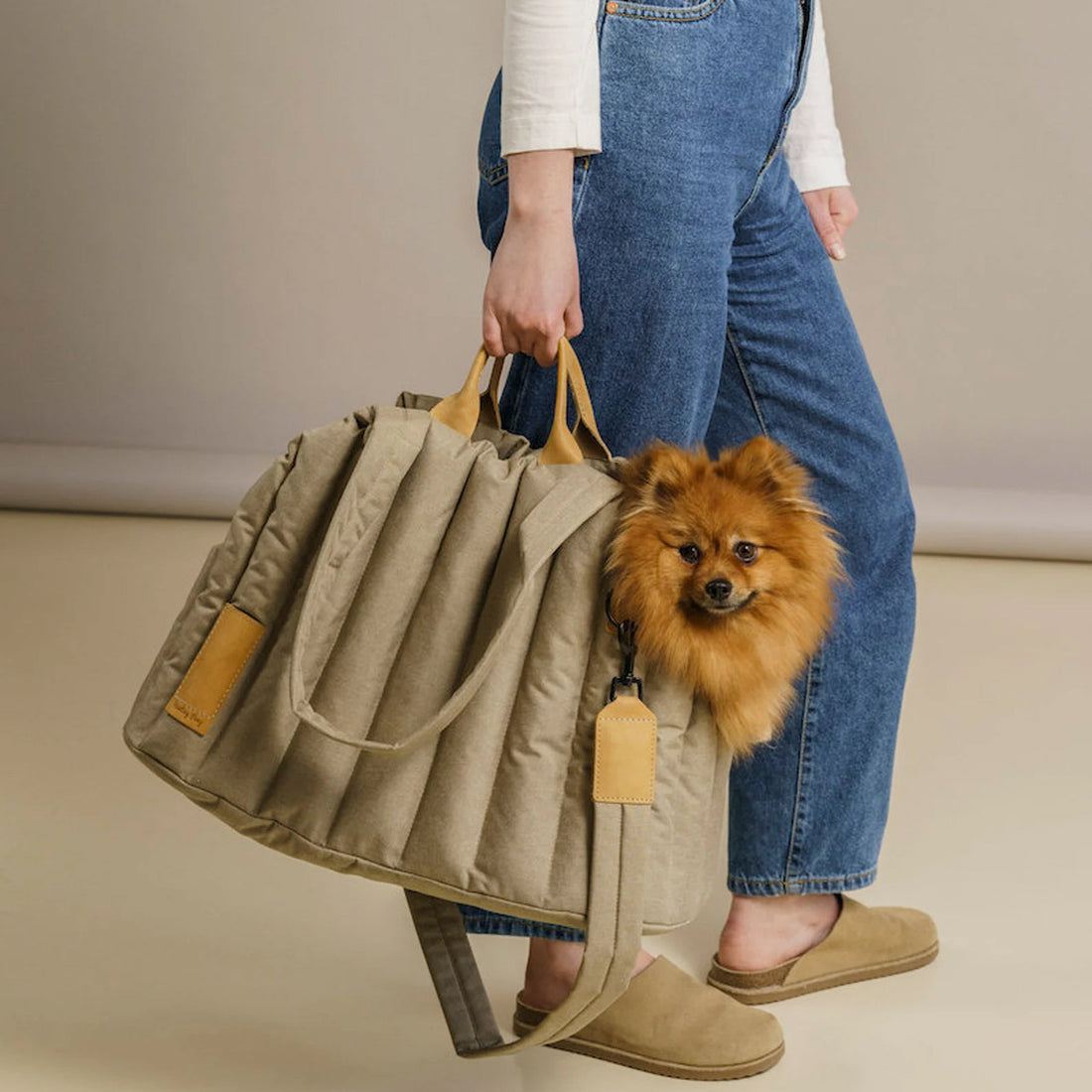 Lightweight Waterproof Portable Pet Carrier Fashion Handbag