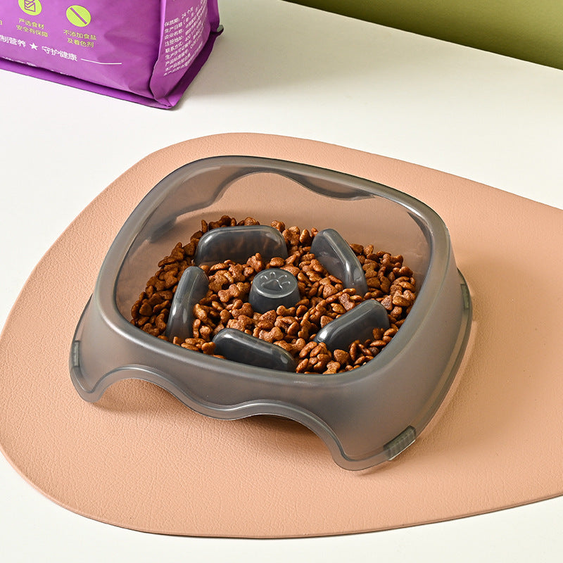 Pet Slow Feeding Anti Choking Water Bowl Plastic Feeder