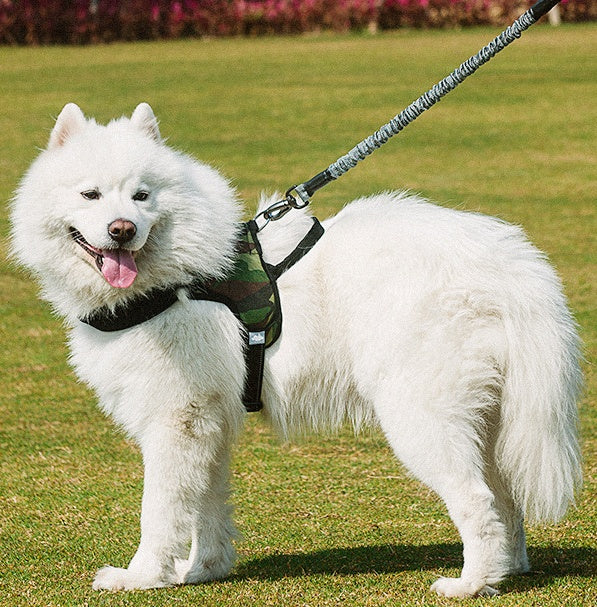 Pet Chest Harness Leash Walking Control Strap