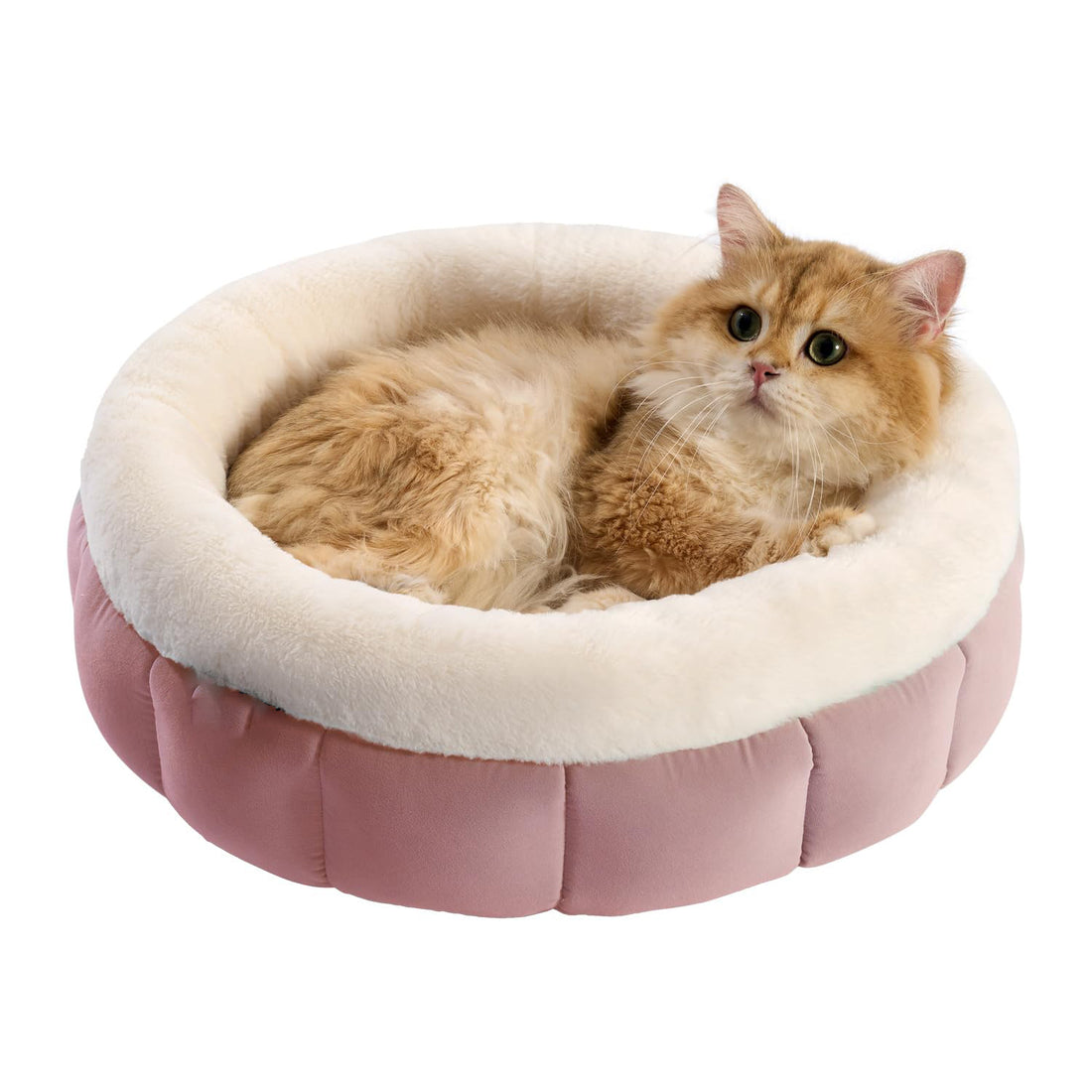 Donut Style Washable Round Pet Bed With Anti Slip Bottom