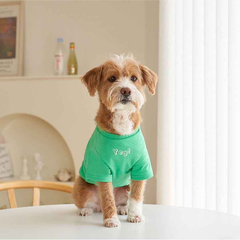 Pet Korean Style Cotton Short Sleeve Printed T Shirt
