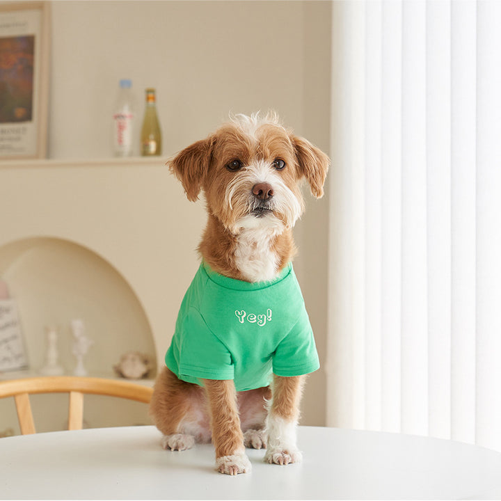 Pet Korean Style Cotton Short Sleeve Printed T Shirt