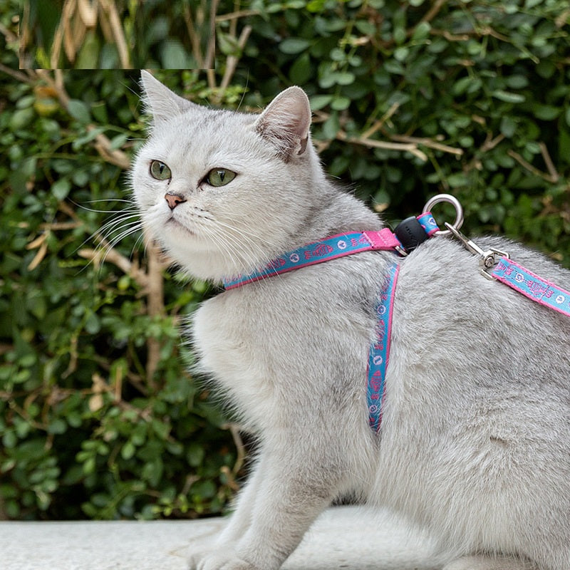 Pet Chest Harness Bell Vest Leash Walking Control Strap