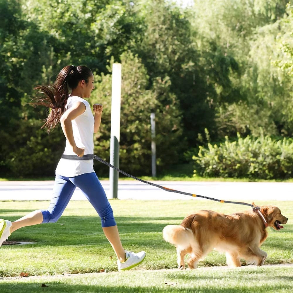 Pet Adjustable Harness Collar Jogging Leash Walking Strap