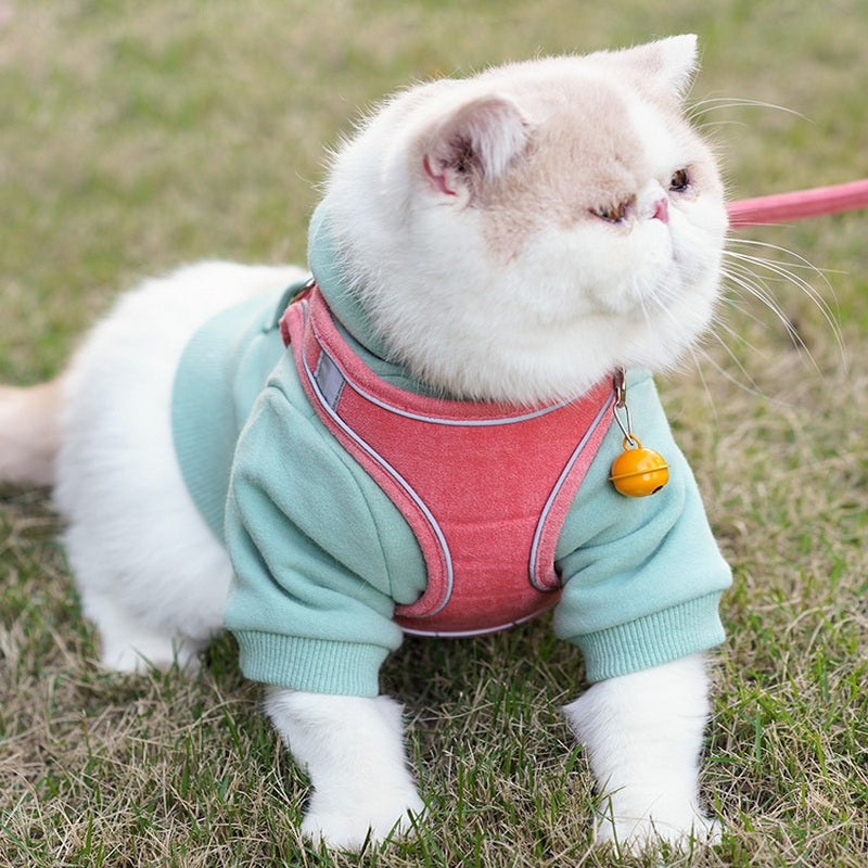 Pet Vest Chest Harness Leash Walking Control Strap