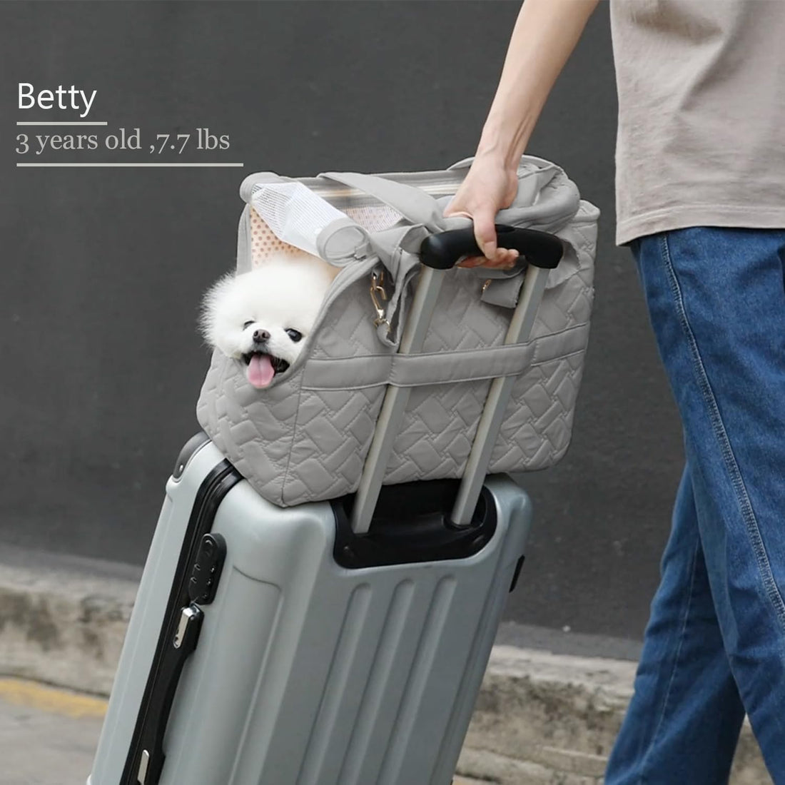 Breathable Mesh Pet Carrier Handbag With Pockets And Cushion