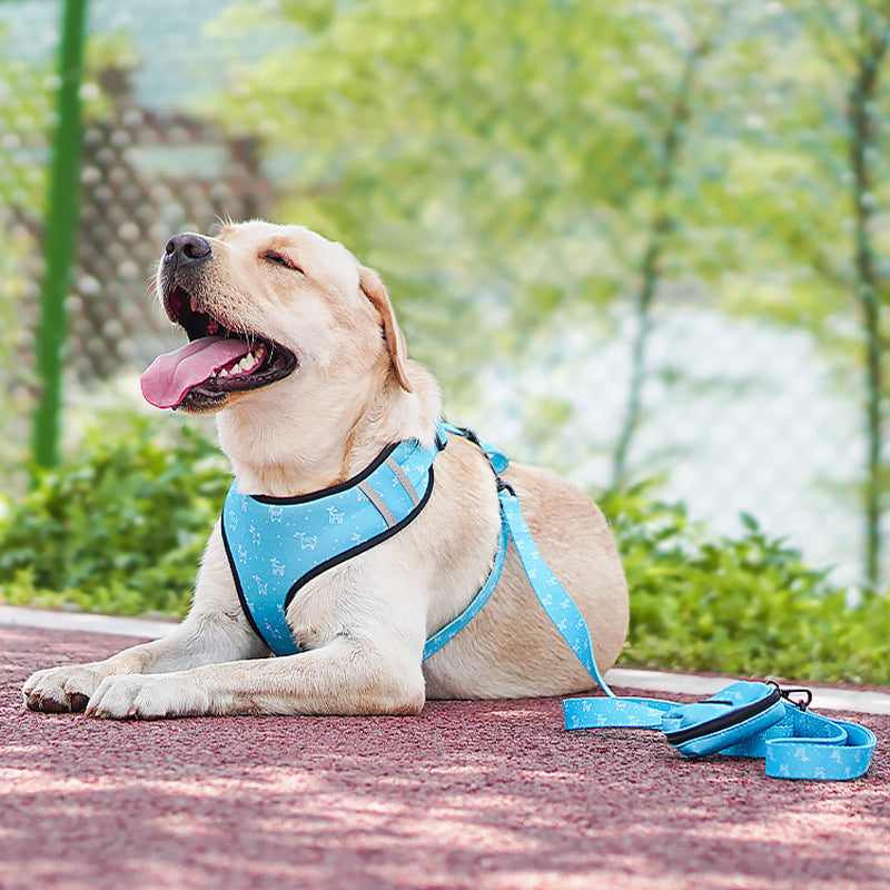 Pet Harness Leash Bow Walking Control Strap