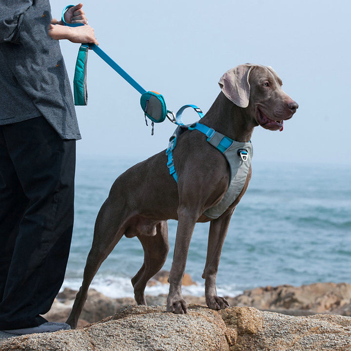 Pet Chest Harness Storage Bag Leash Walking Control Strap