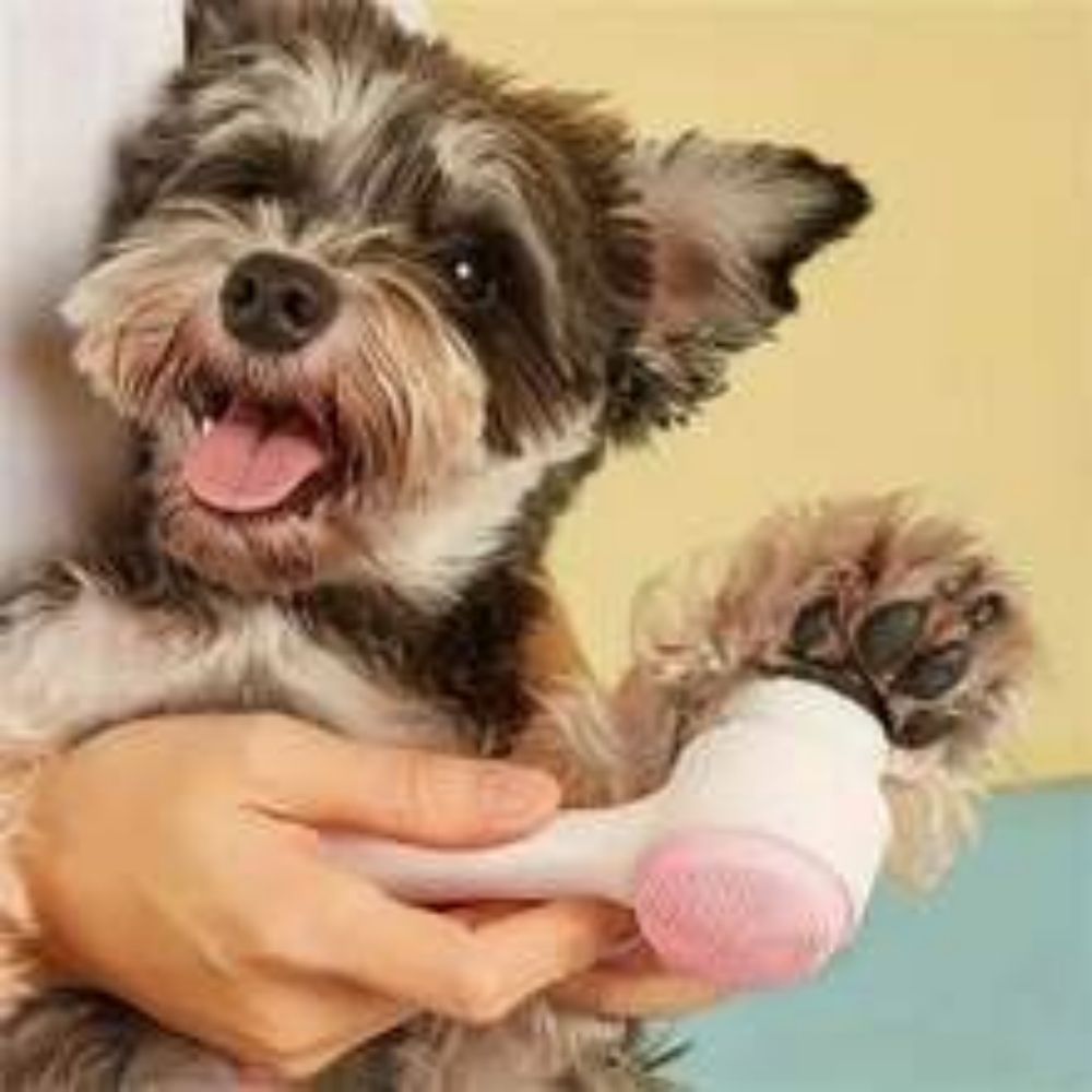 Pet Paw Grooming Brush Gentle Cleaning Massage Care Tool