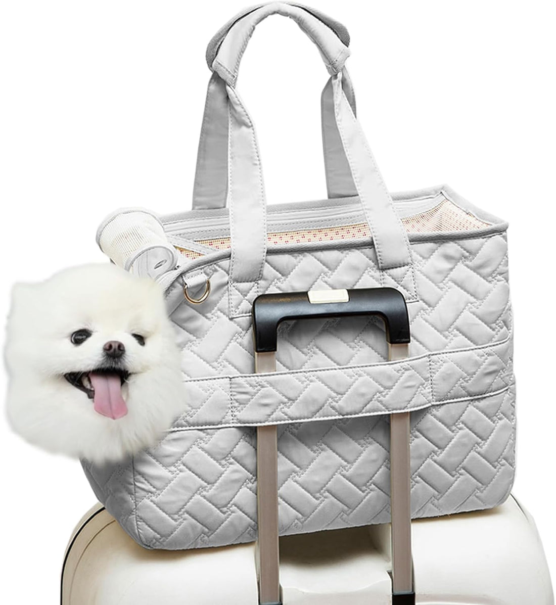 Breathable Mesh Pet Carrier Handbag With Pockets And Cushion
