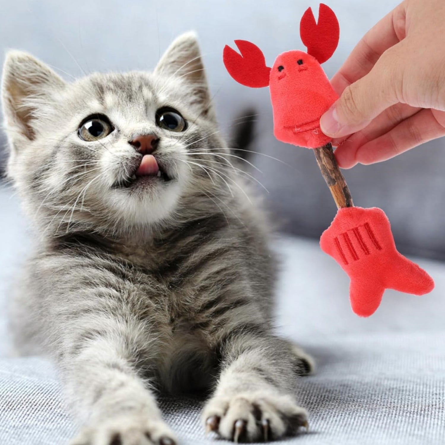 Pet Silvervine Chew Stick Interactive Teeth Cleaning Toy