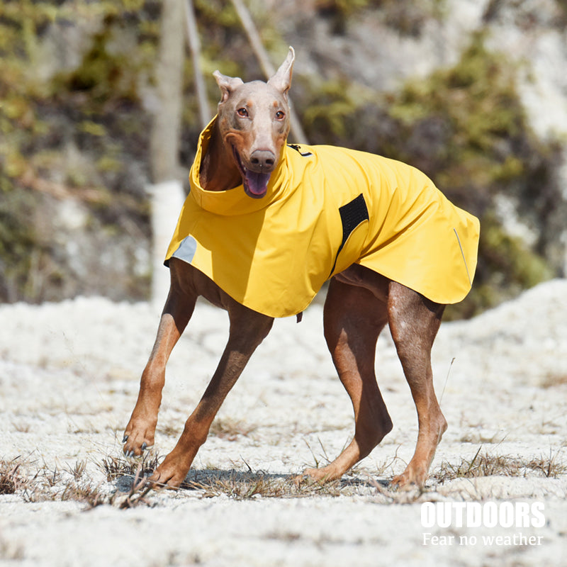 Pet Shell Jacket Waterproof Windproof Raincoat For Pet Outdoor Wear