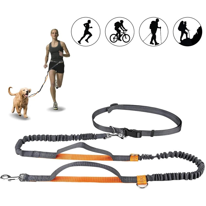 Pet Adjustable Harness Collar Jogging Leash Walking Strap