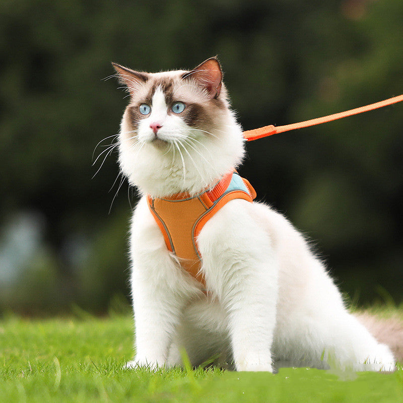 Anti Escape Reflective Pet Harness And Leash Set