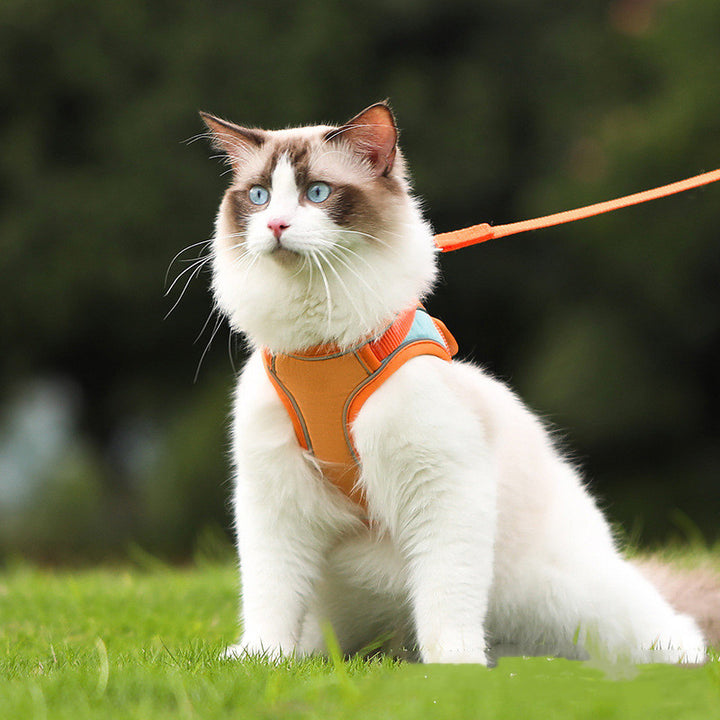 Anti Escape Reflective Pet Harness And Leash Set